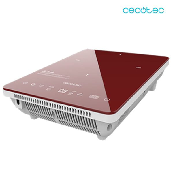 PLACA DE INDUCCION PORTATIL