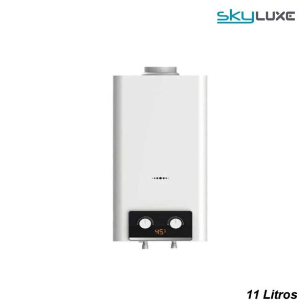 CALENTADOR ATMOSFERICO